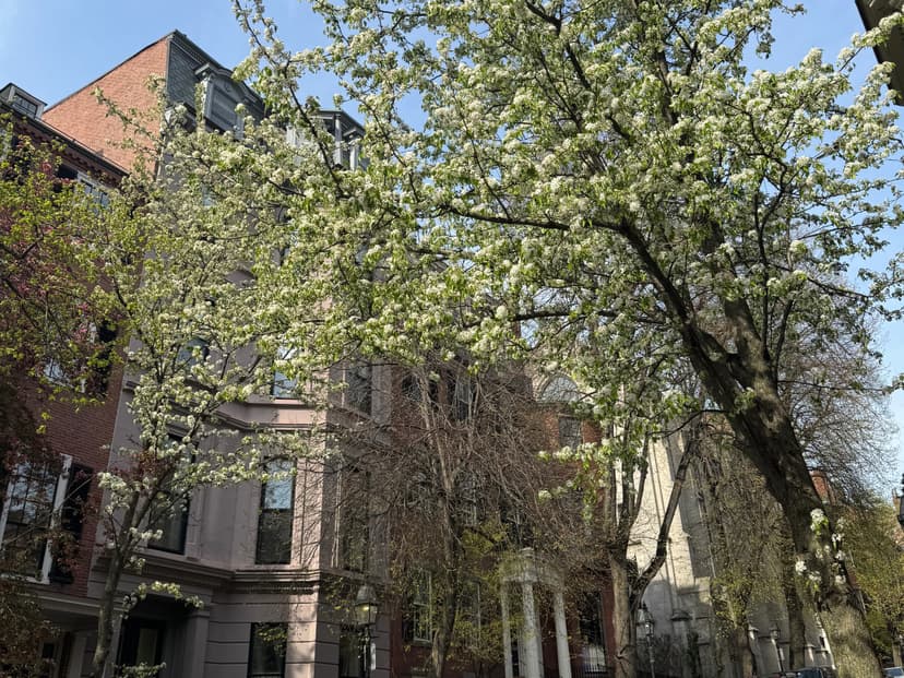 Travel Diary: Boston, MA image