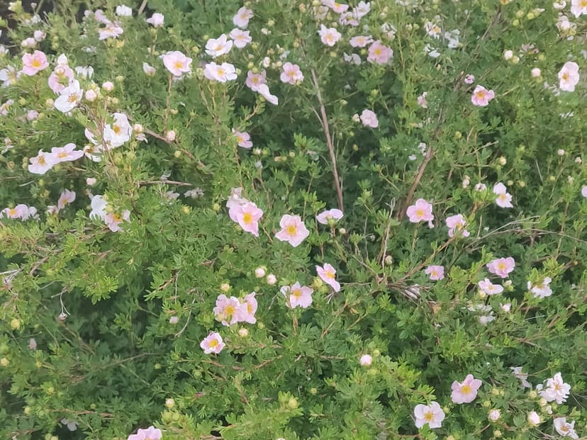 Summer 2023 Songs image